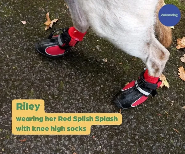 Hunnyboots Splish Splash (fleece lined) - Set of Two Greyhound Boots (a pair)