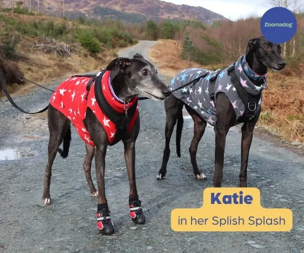 Hunnyboots Splish Splash (fleece lined) - Set of Two Greyhound Boots (a pair)