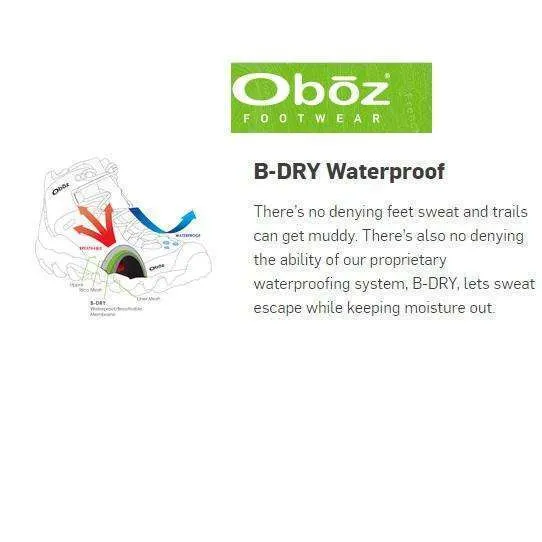 Oboz Mens Bridger Low B-Dry Hiking Shoe
